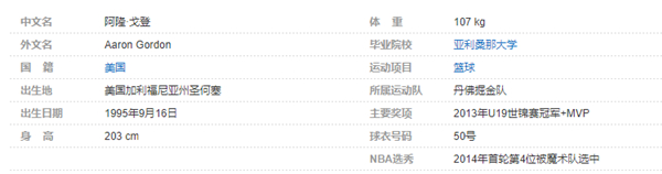 阿隆-戈登个人详细资料简介