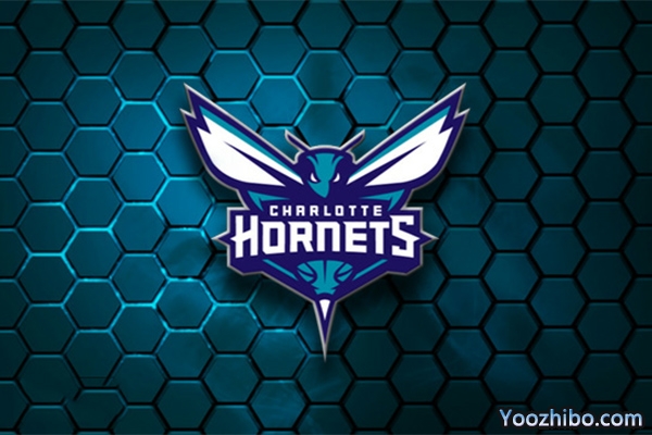 2019-2020赛季<a href=/lanqiulanmu/hornets/ target=_blank class=infotextkey>黄蜂</a>队队徽